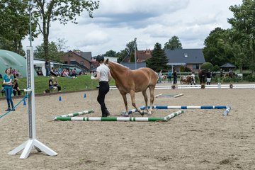 Bild 12 - Pony Akademie Turnier